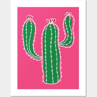 Cactus with flowers Posters and Art